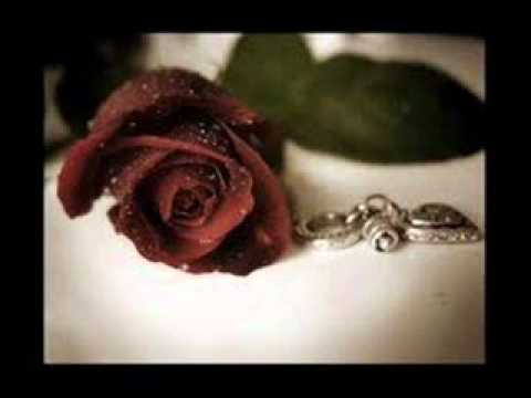 Natasa Djuric Imam te