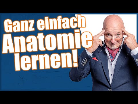 Anatomische Begriffe auswendig lernen leicht gemacht: Die BESTE Methode