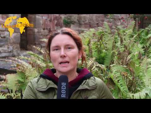 Saale-Unstrut: Andrea Knopik empfiehlt