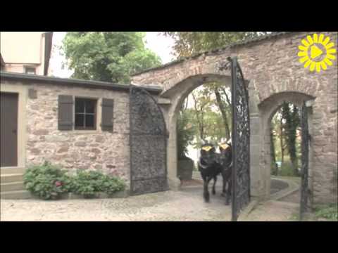 Bad Kissingen Teil 5