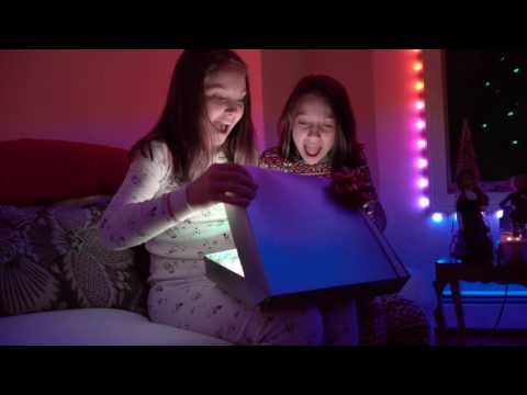 Synchrony™ Holiday LED Lighting - Christmas Tree Lights