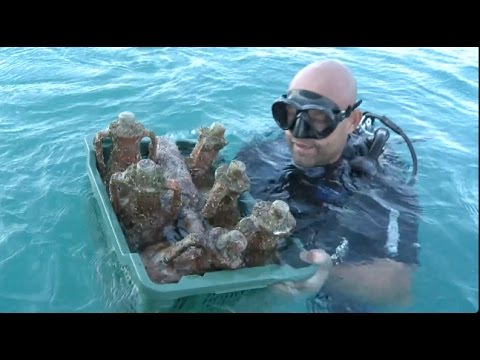 download lagu mp3 mp4 Edi Bajurin, download lagu Edi Bajurin gratis, unduh video klip Edi Bajurin