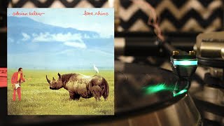 Adrian Belew ‎– ‎"Big Electric Cat" (1982 Vinyl) - DS AUDIO DS E-1 / AIRTECH MG-1