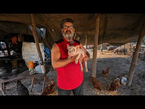 Así es la VIDA de un  BRASILEÑO en el MONTE CHAQUEÑO