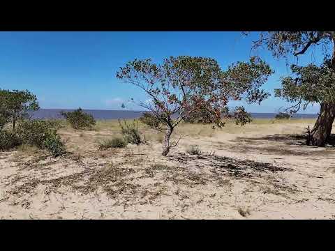 Blanca Arena, Colonia 