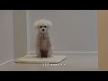 Clip 1