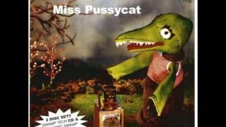 Quintron & Miss Pussycat - Swamp Buggy Badass