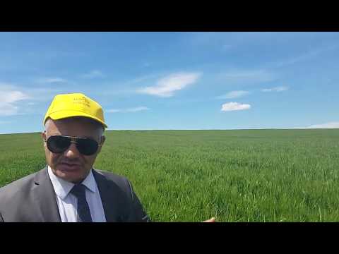 Profert spa - Témoignage de Mizoun Rabah , Tissemsilt