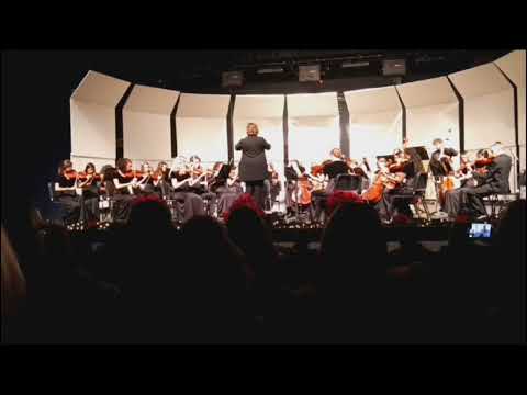 LSW 2023 Winter orchestra concert