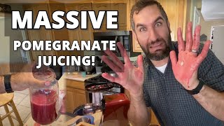 MASSIVE POMEGRANATE JUICING!! | How to Extract and Make Pomegranate Juice from Seeds