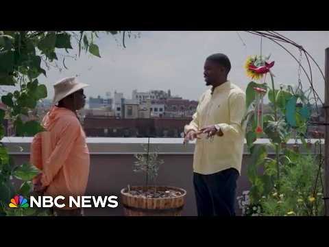 Longtime New Yorker cultivates rooftop garden and community