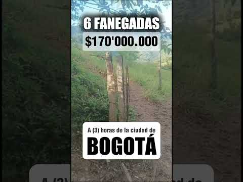 🍃SE VENDEN - ESTÁS FANEGADAS🍃Información al WhatsApp: (+57) 310 355 8414🍃