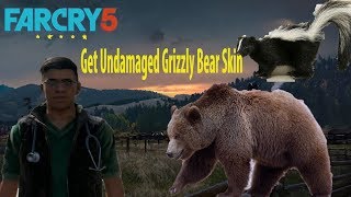 Far Cry 5 - Clinical Study - Get Undamaged Grizzly Bear Skin