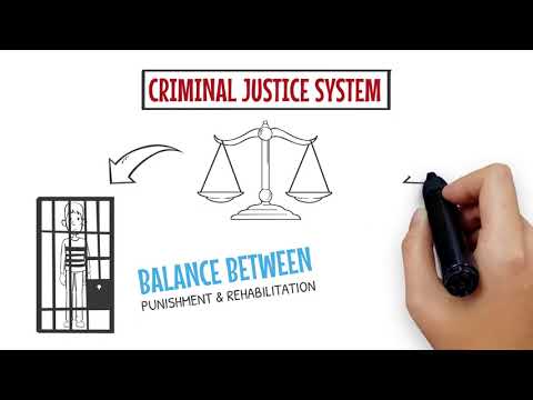 Whiteboard Animation 8