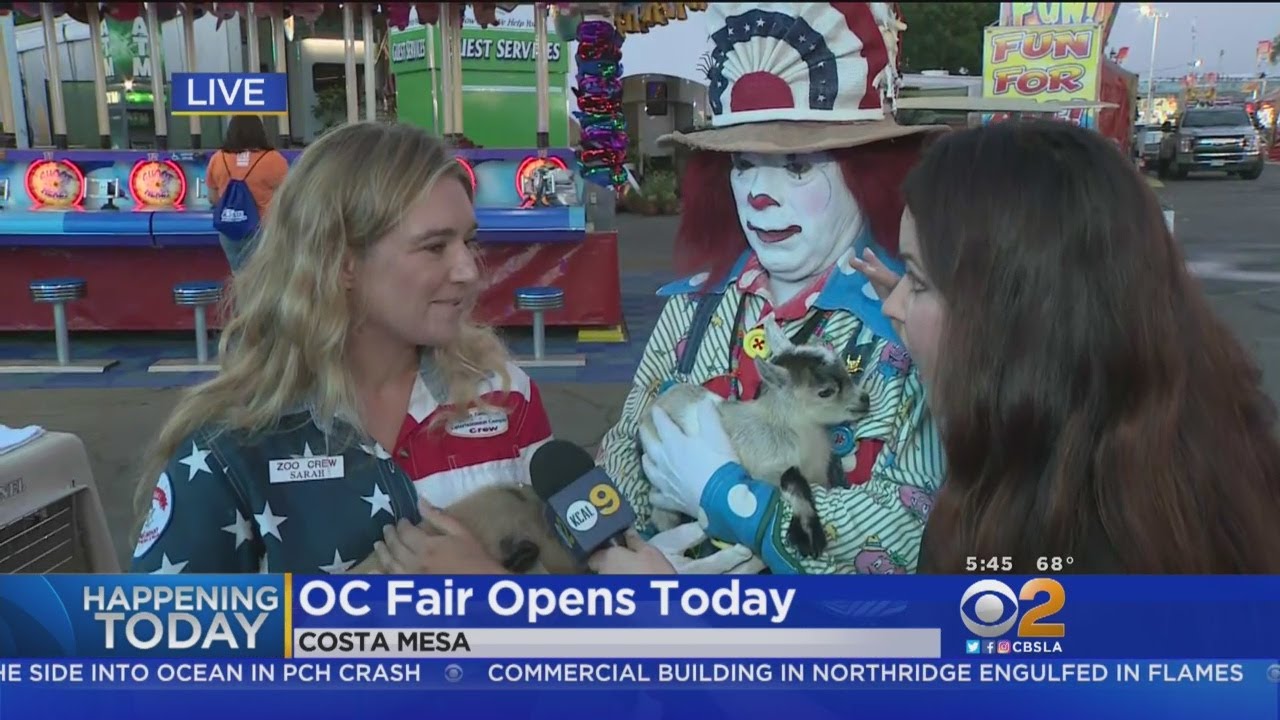OC Fair Kicks Off Friday With Rides, Food, Agriculture Theme