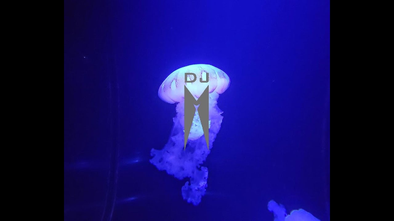 Promotional video thumbnail 5 for Dj M