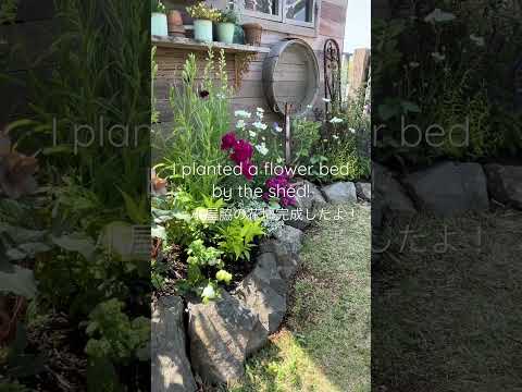 園芸 「フレンチスタイル」の花壇