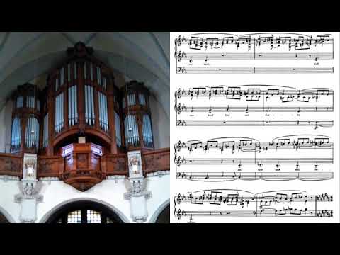 S. Karg-Elert, Symphonischer Choral Ach bleib mit deiner Gnade op. 87 n. 1 - Angela D'Amico