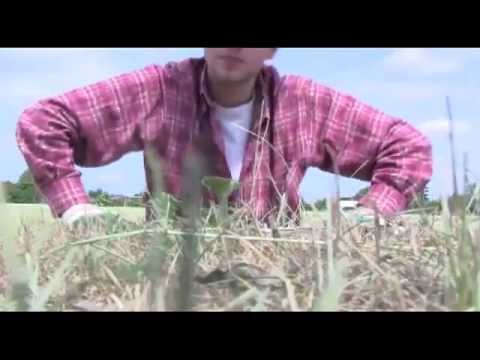 Acousoptic - VBT11 VR2 - TJey