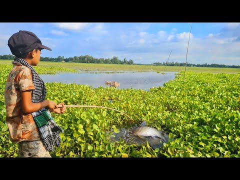 Best Hook Fishing Video Fishing For Catfish To Catch With Small Hook Best Bamboo Rod Fishing Trap