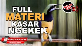 Download lagu 🔴 Cucak Cungkok Masteran Gacor 2023❗️AUDIO JENIH Auto Cepat Masuk mp3