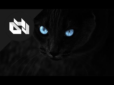 Phyrobomb - Polarity Ft. Nathan Brumley