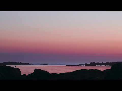 alivvve  sweeep - last night glo remix