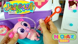 Distroller Toys - Adopting & Caring for Neonat