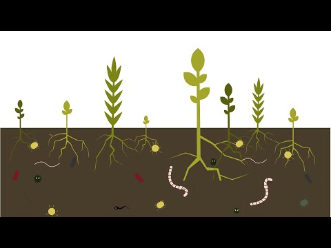 Best4Soil: Santé du sol - Informations pratiques