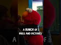 Elmo S Rockin Birthday Dine