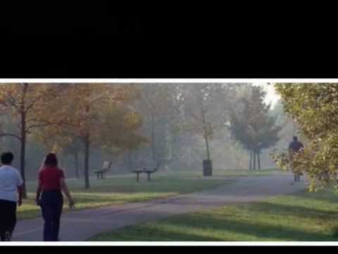 5 Trewartha Crescent, Brampton