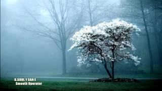 G.soul y San E - Smooth Operator