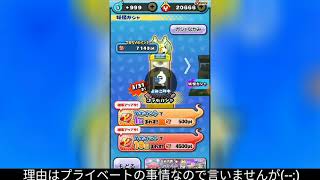 【ぷにぷに】10連で野坂が！？久しぶりの投稿！