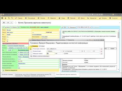 Обзор регистратуры в программе ENOTE