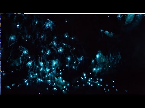 POLLARD/DANIEL/BOOTH - EINDHOVEN IV.