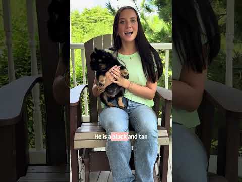 Video 1