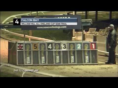 2018 WILLIAM HILL ALL ENGLAND CUP - 3RD SEMI - T4 FALCON BAY