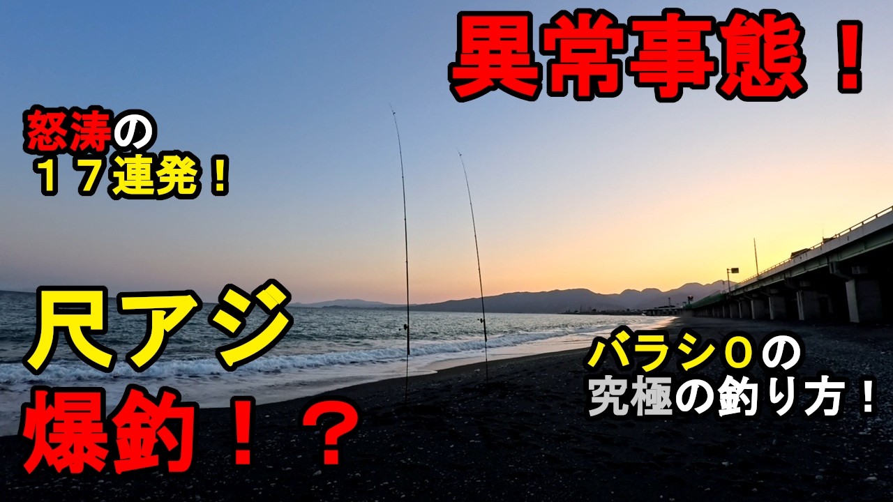 【神奈川県某所】異常事態！尺アジ大量発生で深夜に爆釣！？冬の終わりの初春の時期に、関東地方の相模湾に面している砂浜（サーフ）エリアで、遠投ぶっこみサビキで海釣りをしていたら…！【2026年3月上旬】