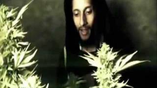 Julian Marley - Boom Draw - Official Video