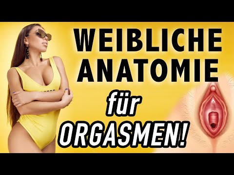 Prostatitis und infizieren Frauen Leukozyten bei Männern in der Prostata Sekretion