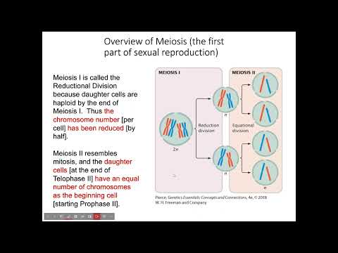 BIOL 2416 Chapter 2 Part 2 Lecture recording