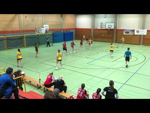 F-LL: SG Argental - HSG Albstadt 23:23 (16:11)