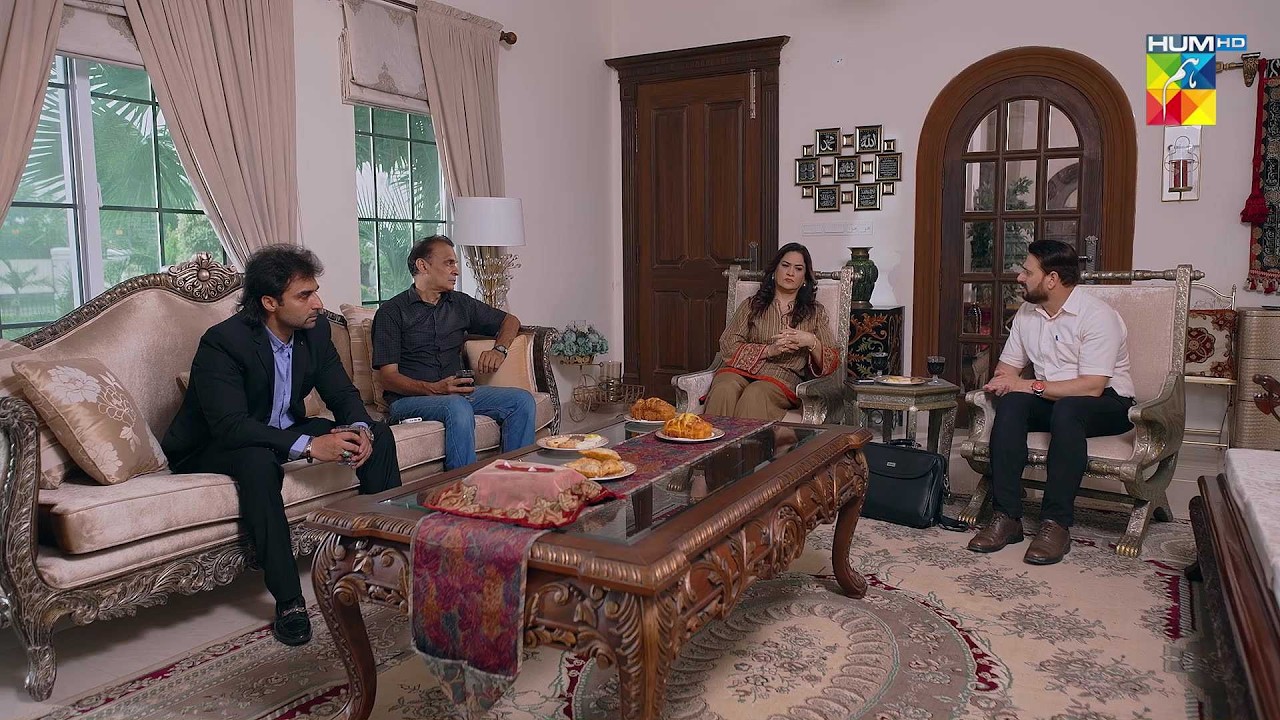 Kya Zeenia Ki Maa Naya Karobar Shuru Karne Wali Hai..!  #MinsaMalik - Hadd - HUM TV