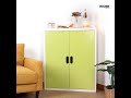 2door book cabinet-6