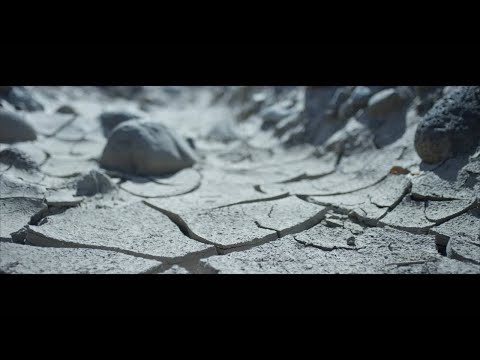 Water Scarcity | Who's Minding the Planet? | YSI