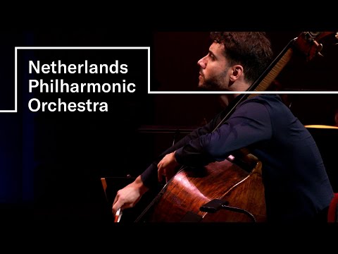 Koussevitzky - Double Bass Concerto (Luis Cabrera Martin, double bass) | Netherlands Philharmonic