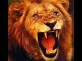 DEKHO DEKHO KON AYA SHER AYA PMLN NEW SONG