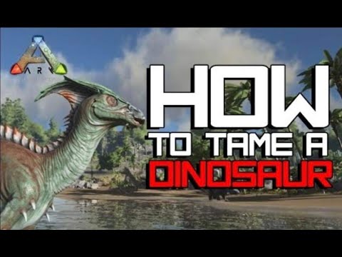 How to Tame a Dimorphodon ARK: Survival Evolved