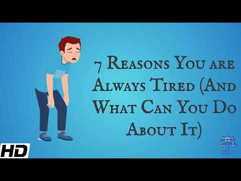 7 Reasons You Are Always Tired (And What Can You Do About It)