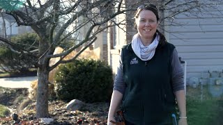 PETITTI | How to Prune Dormant Trees in Late Winter and Early Spring